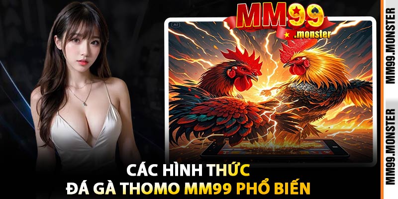 Các Hình Thức Đá Gà Thomo MM99 Phổ Biến