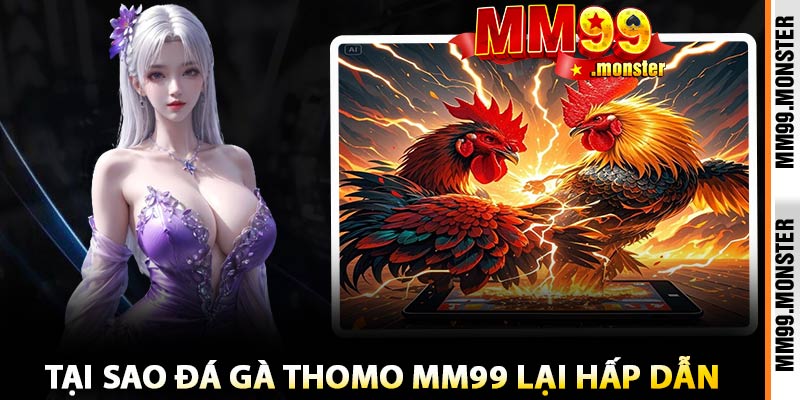 Tại Sao Đá Gà Thomo MM99 Lại Hấp Dẫn