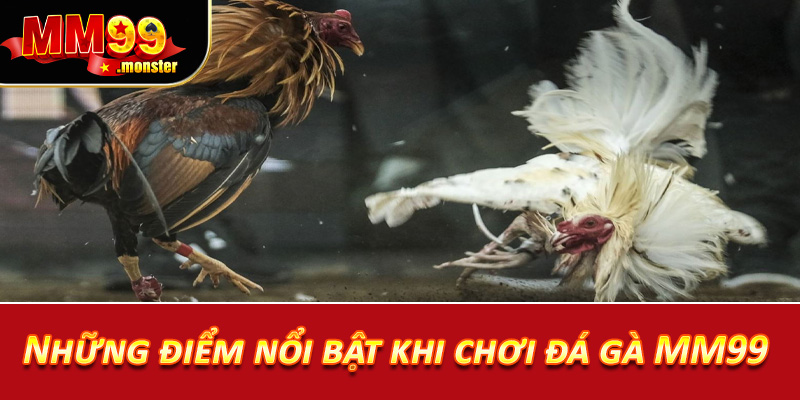 Những điểm nổi bật khi chơi đá gà MM99 