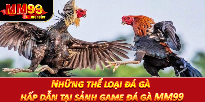 Những thể loại đá gà hấp dẫn tại sảnh game đá gà MM99