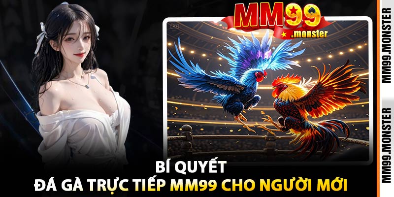 Bí Quyết Đá Gà Trực Tiếp MM99 Cho Người Mới