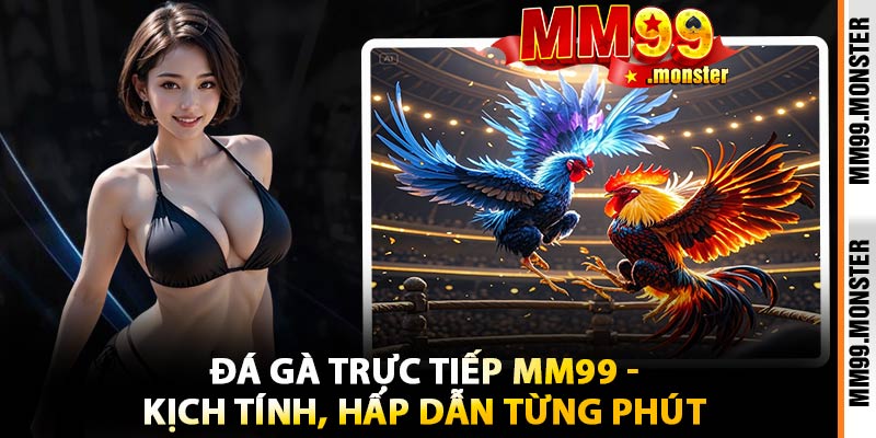Đá Gà Trực Tiếp MM99 - Kịch Tính, Hấp Dẫn Từng Phút